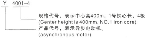 西安泰富西玛Y系列(H355-1000)高压YKS5602-10三相异步电机型号说明