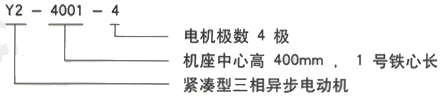 YR系列(H355-1000)高压YKS5602-10三相异步电机西安西玛电机型号说明